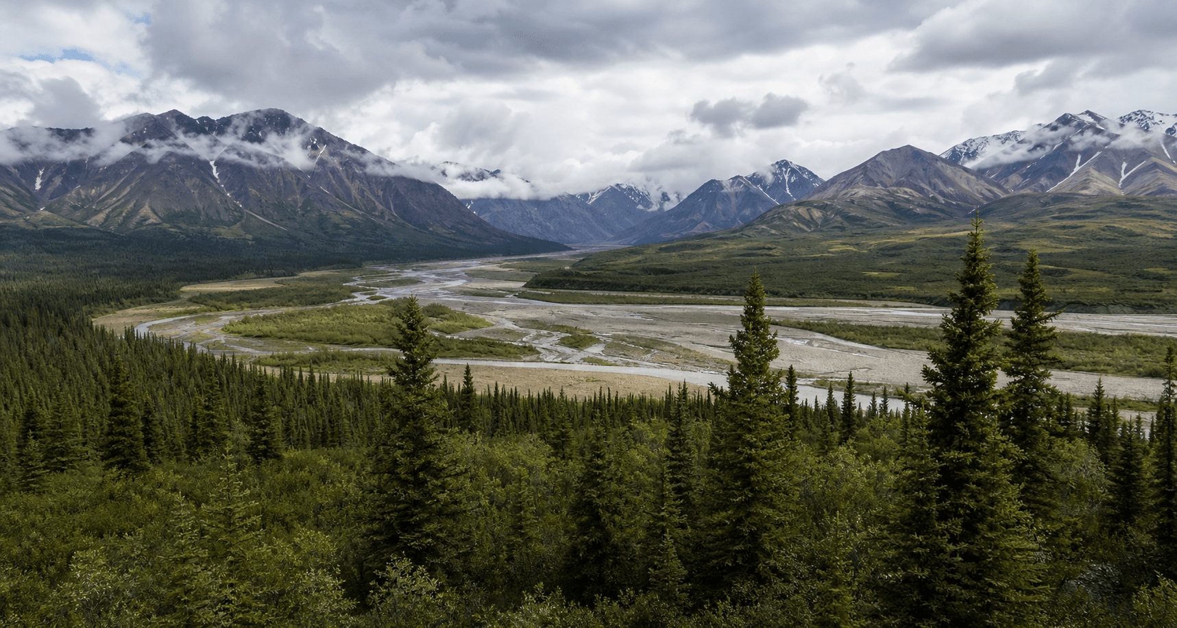 Alpine forest above a braided river valley with snow-streaked mountains and low clouds